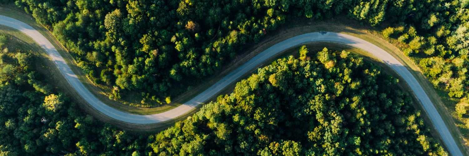 Swirling road in the forest